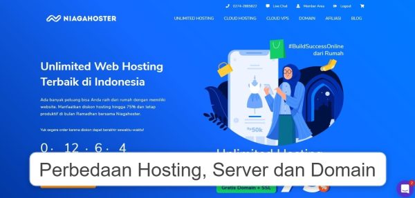 perbedaan hosting server dan domain